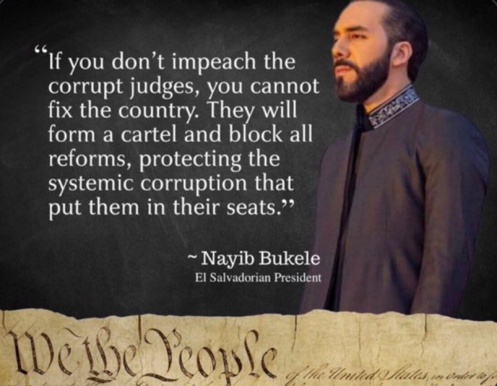 Judy Meyers tweet media