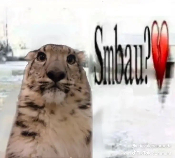 Winter Snep tweet media