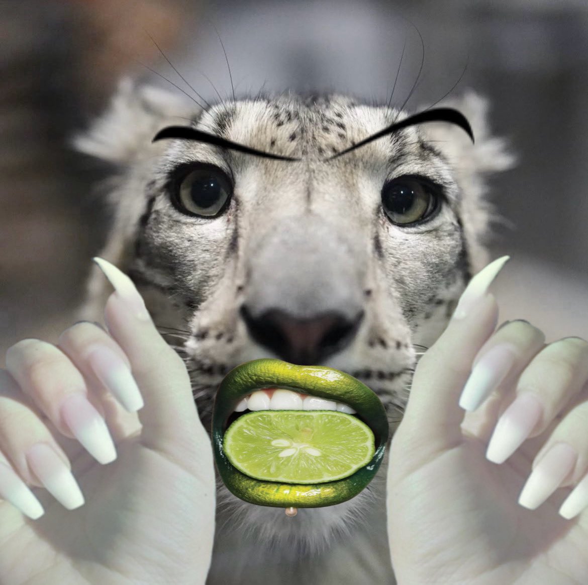 Winter Snep tweet media