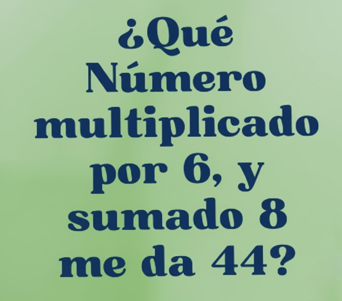 Suricato 💎 tweet media