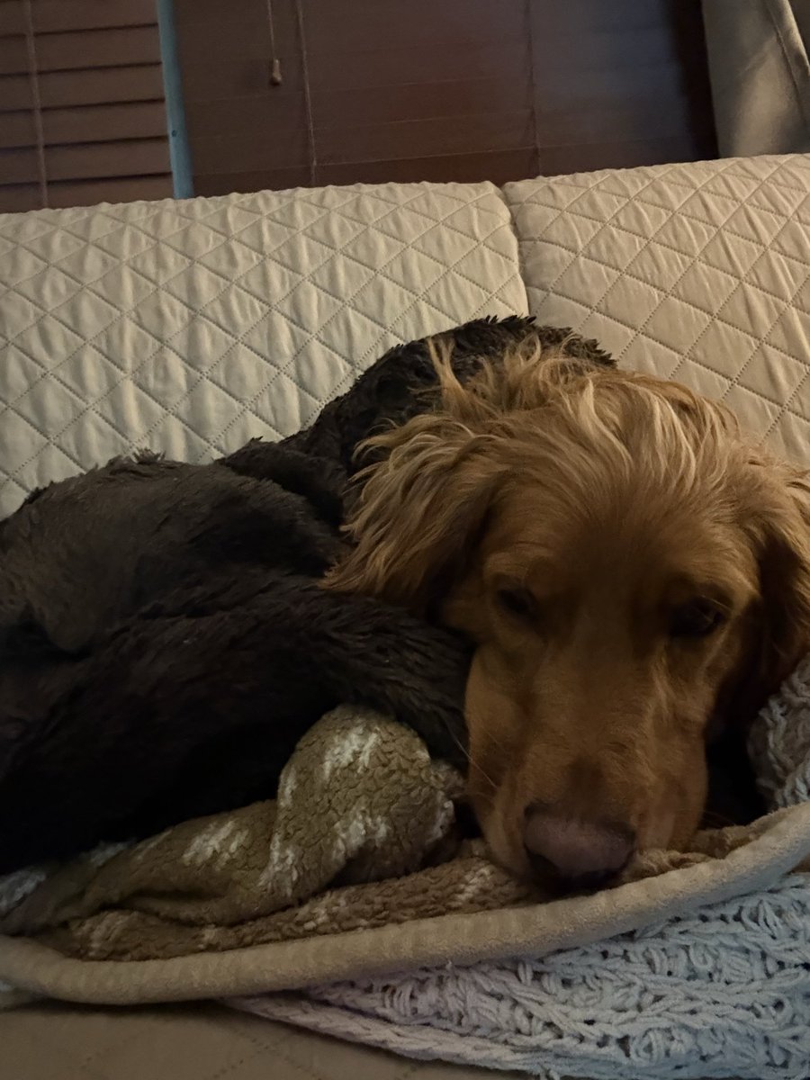 Cooper Jack & Biggie Smalls tweet media