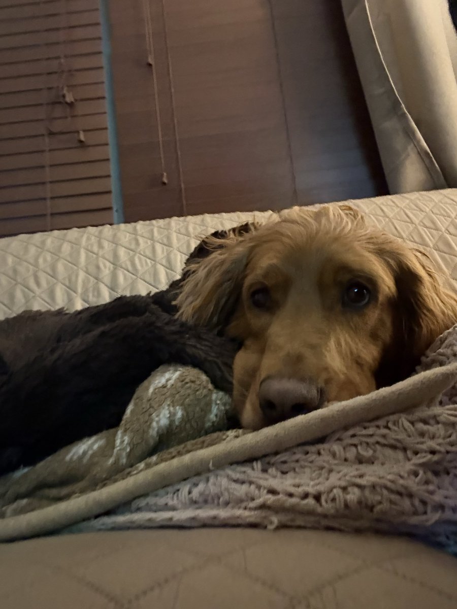 Cooper Jack & Biggie Smalls tweet media