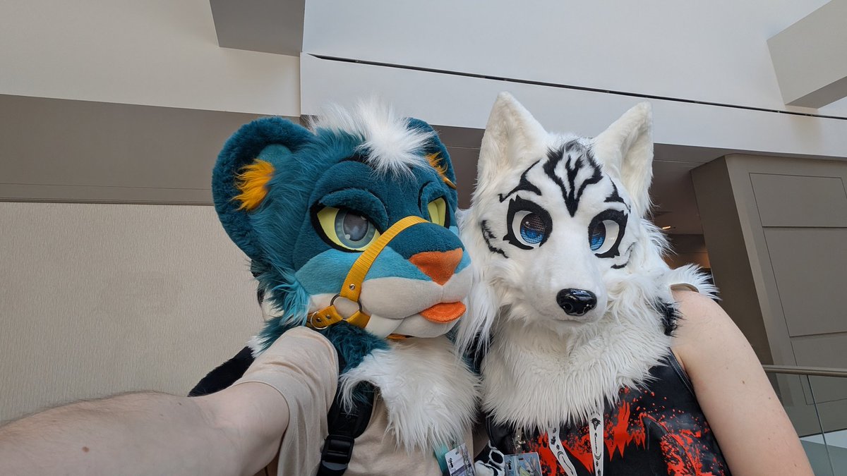 Lil Nav X 🔜 TFF26 tweet media