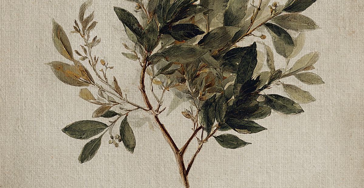 كتاب_العقل tweet media