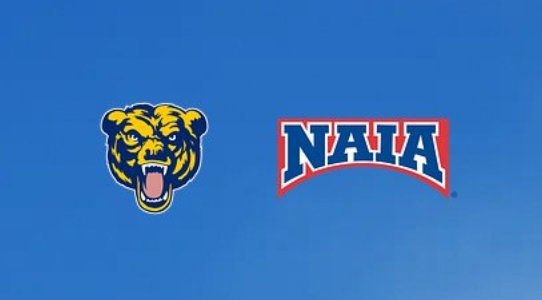 Nathanael Lewis tweet media