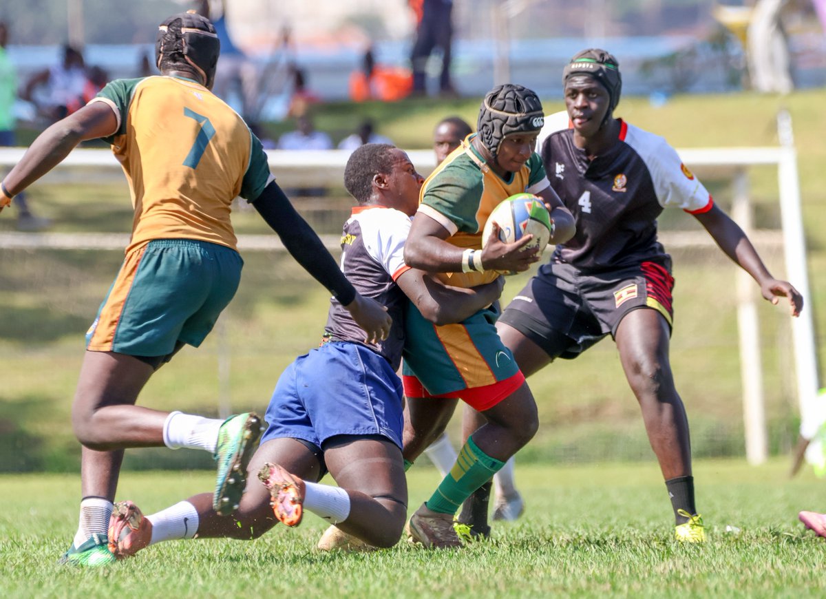 Fat Cats Podcast 🏉🎙️ tweet media