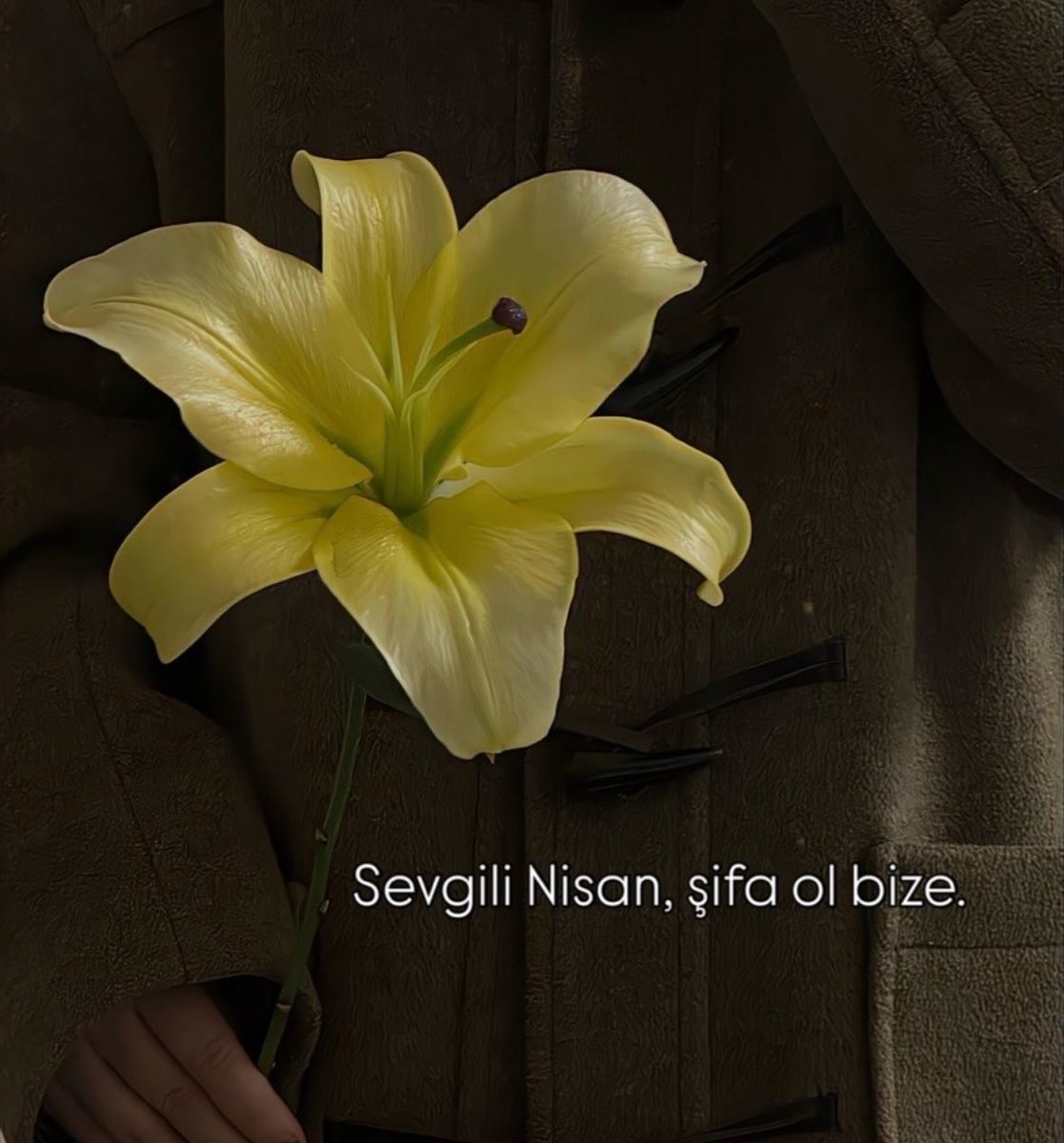 Psychological Therapy tweet media