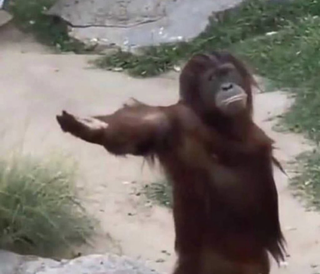 Oluwa Phemmy tweet media