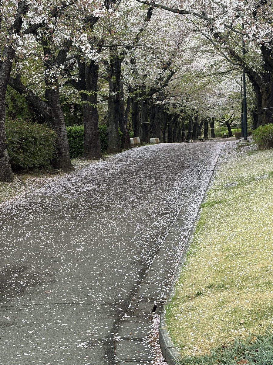 大神1221 tweet media