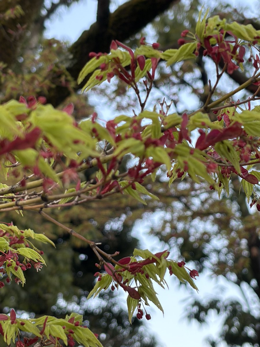 大神1221 tweet media