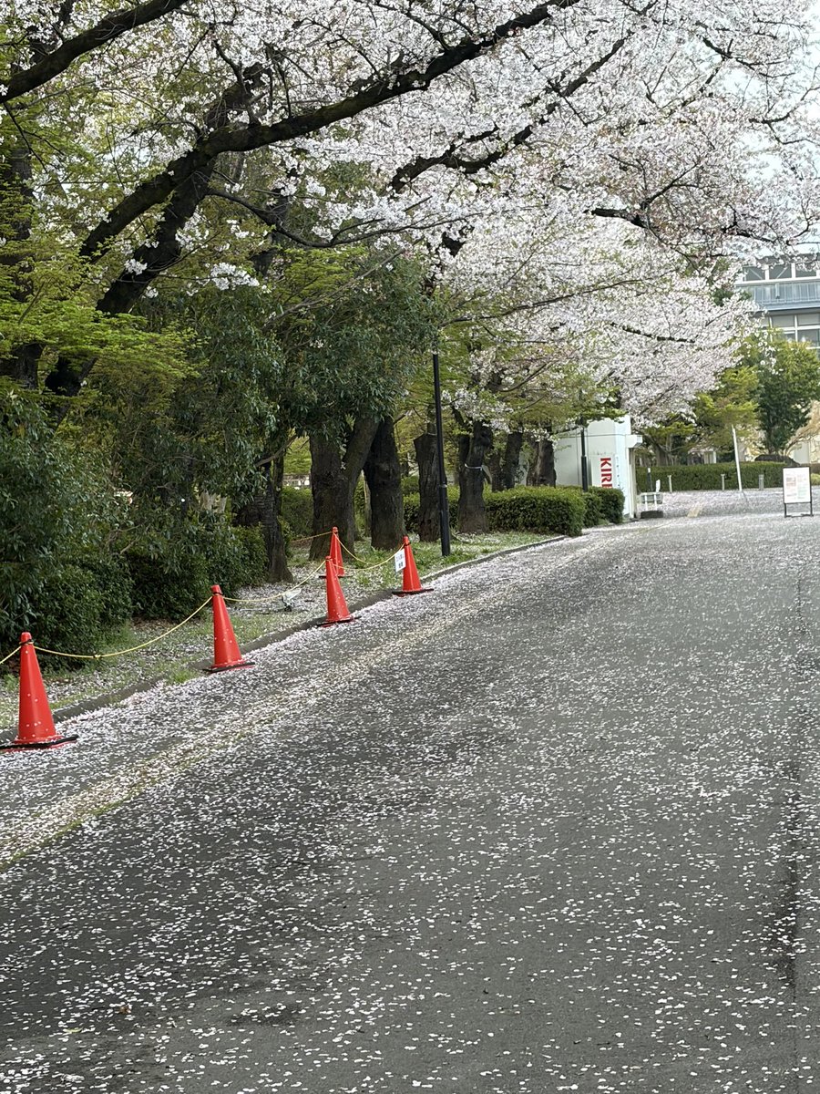 大神1221 tweet media