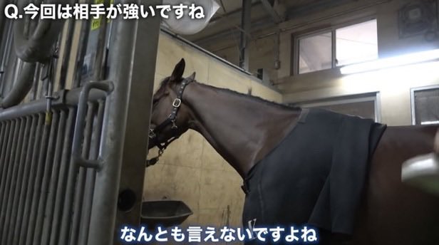 名前募集bot tweet media