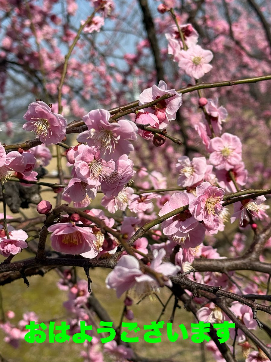 さんぺい tweet media