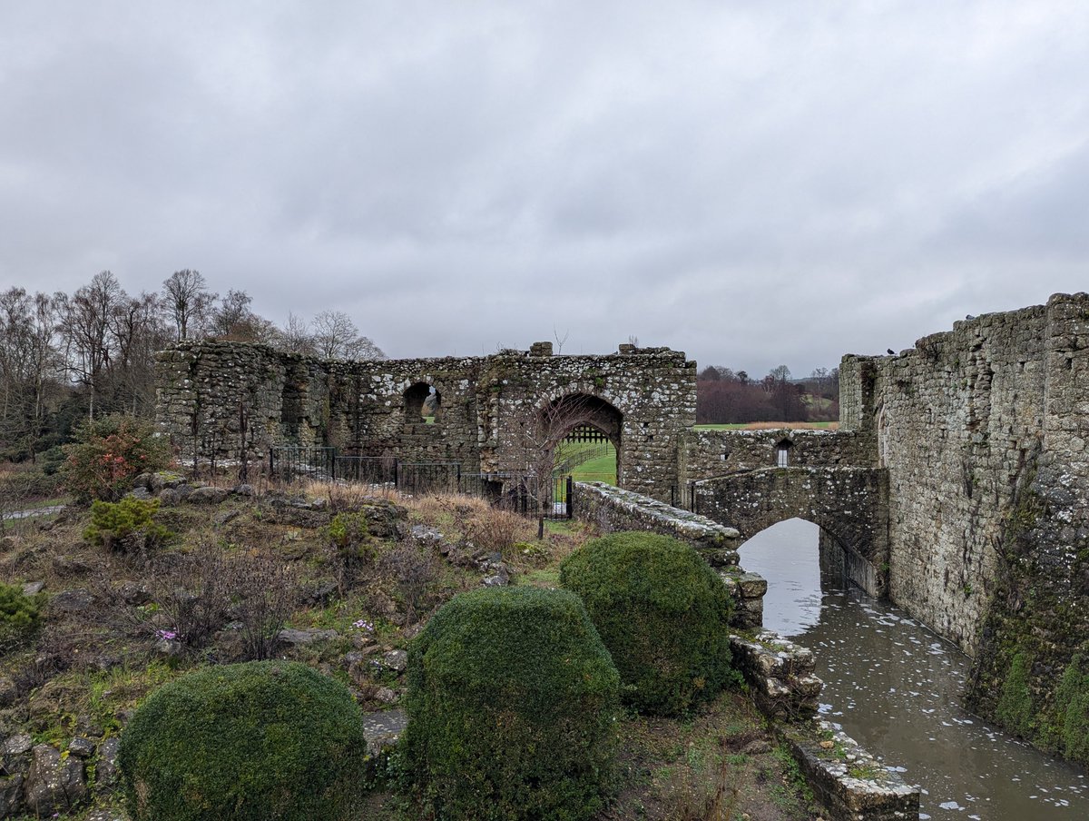 Paul Burow-Newton tweet media