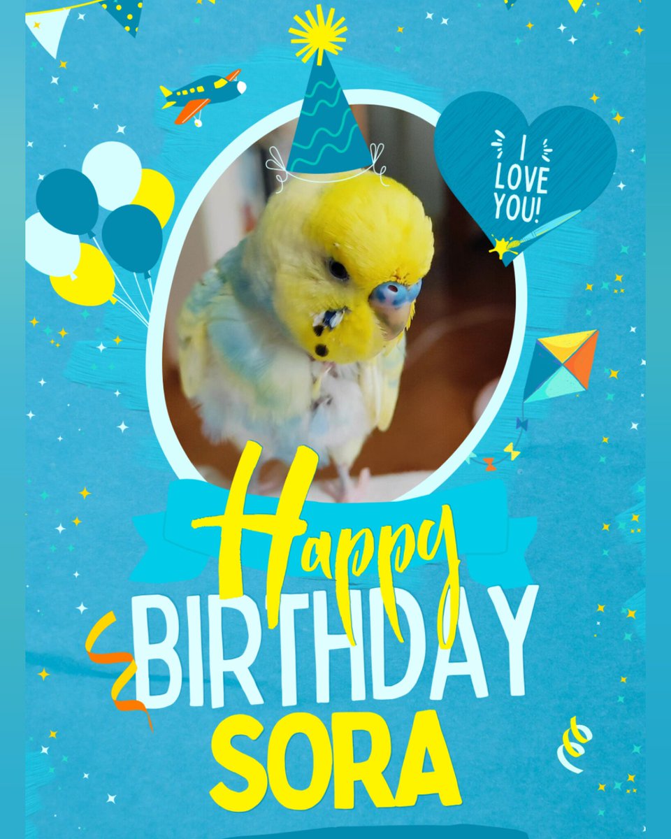 紙と布で花をつくる人｜青い紫陽花と、2羽の鳥のいる暮らし tweet media