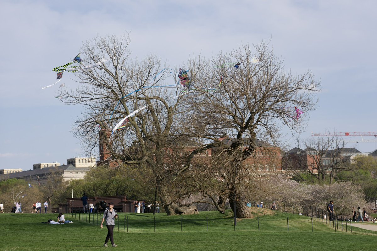 Andrew Leyden tweet media