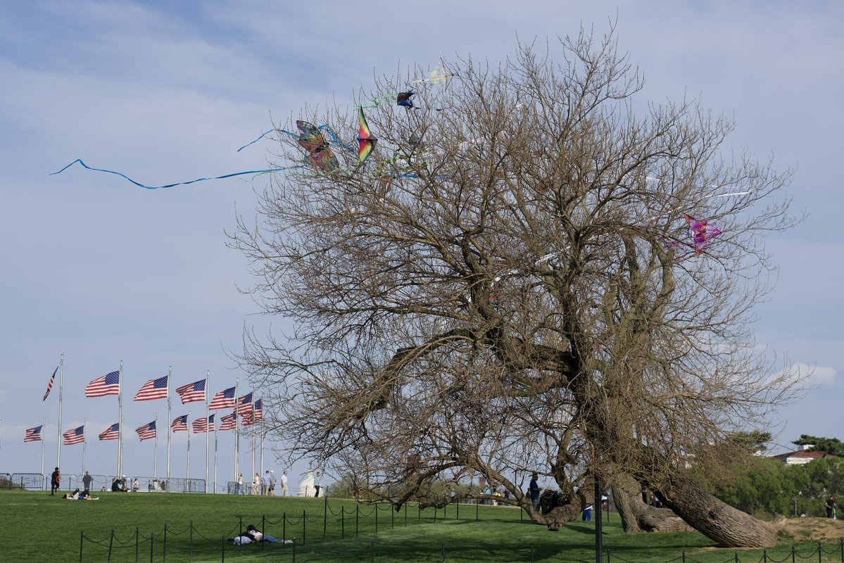 Andrew Leyden tweet media