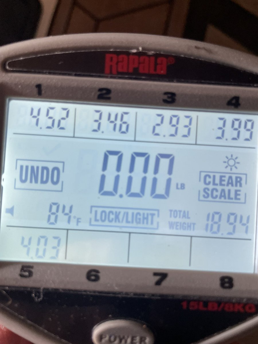 Tommy 🏆 tweet media