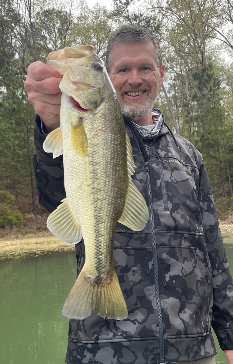 Tommy 🏆 tweet media