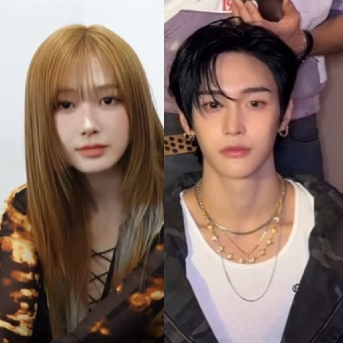 ann de truthfulcunt tweet media