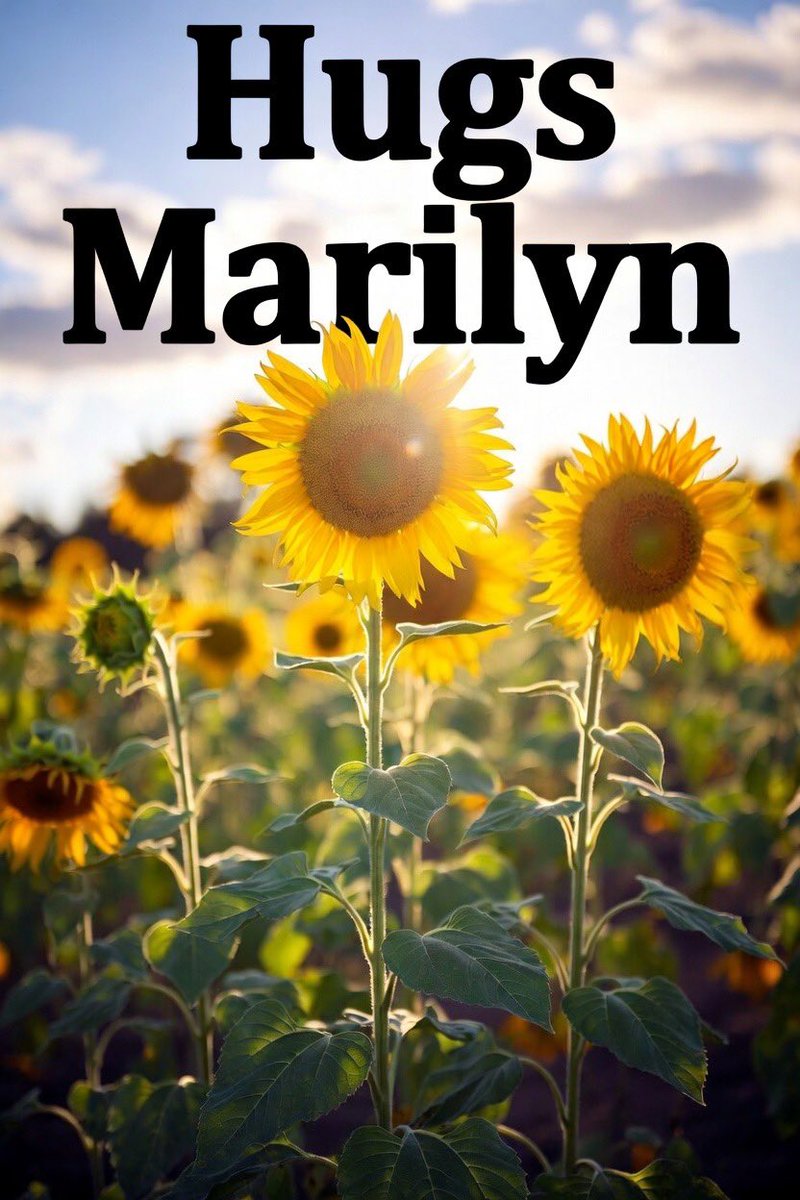 Marmalite tweet media