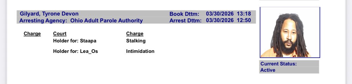 Sarah Fields tweet media