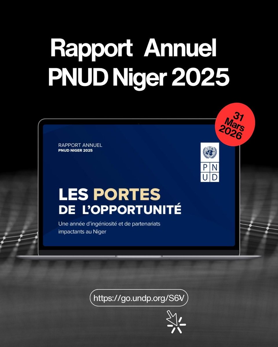PNUD Niger tweet media