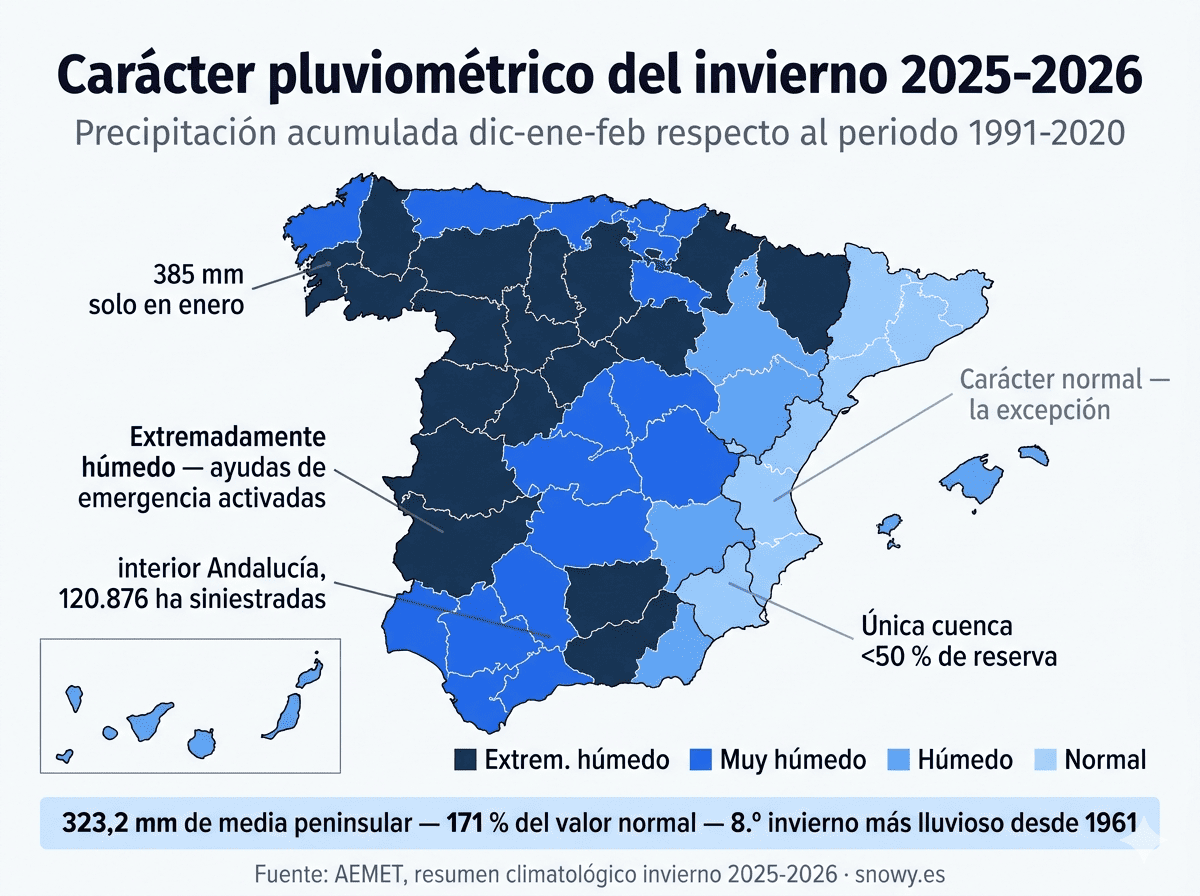 Snowy ❄️ tweet media