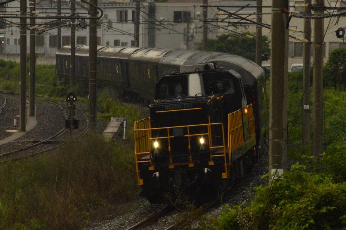 シエル tweet media