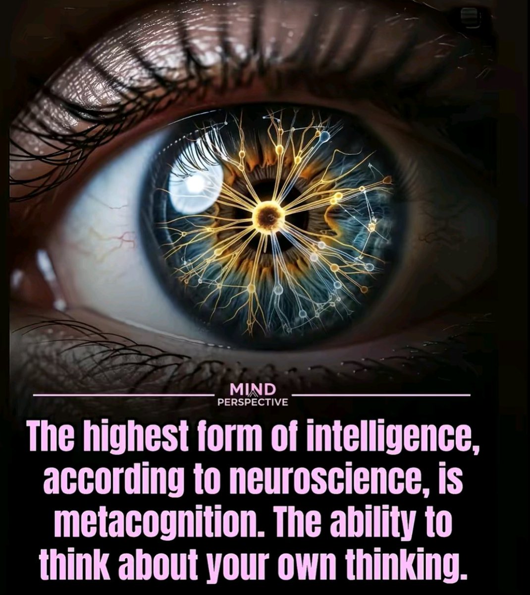 RobLogic tweet media