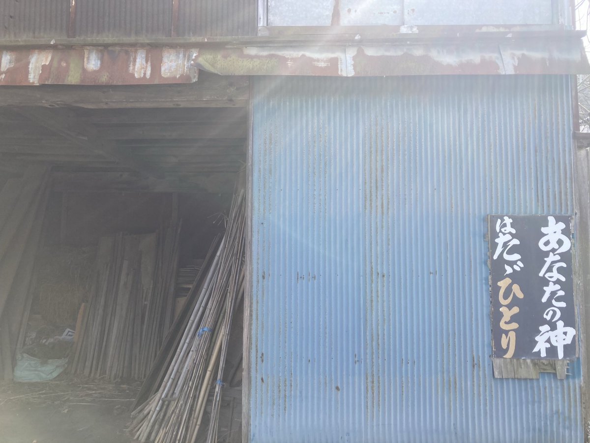 かぶｩたん tweet media