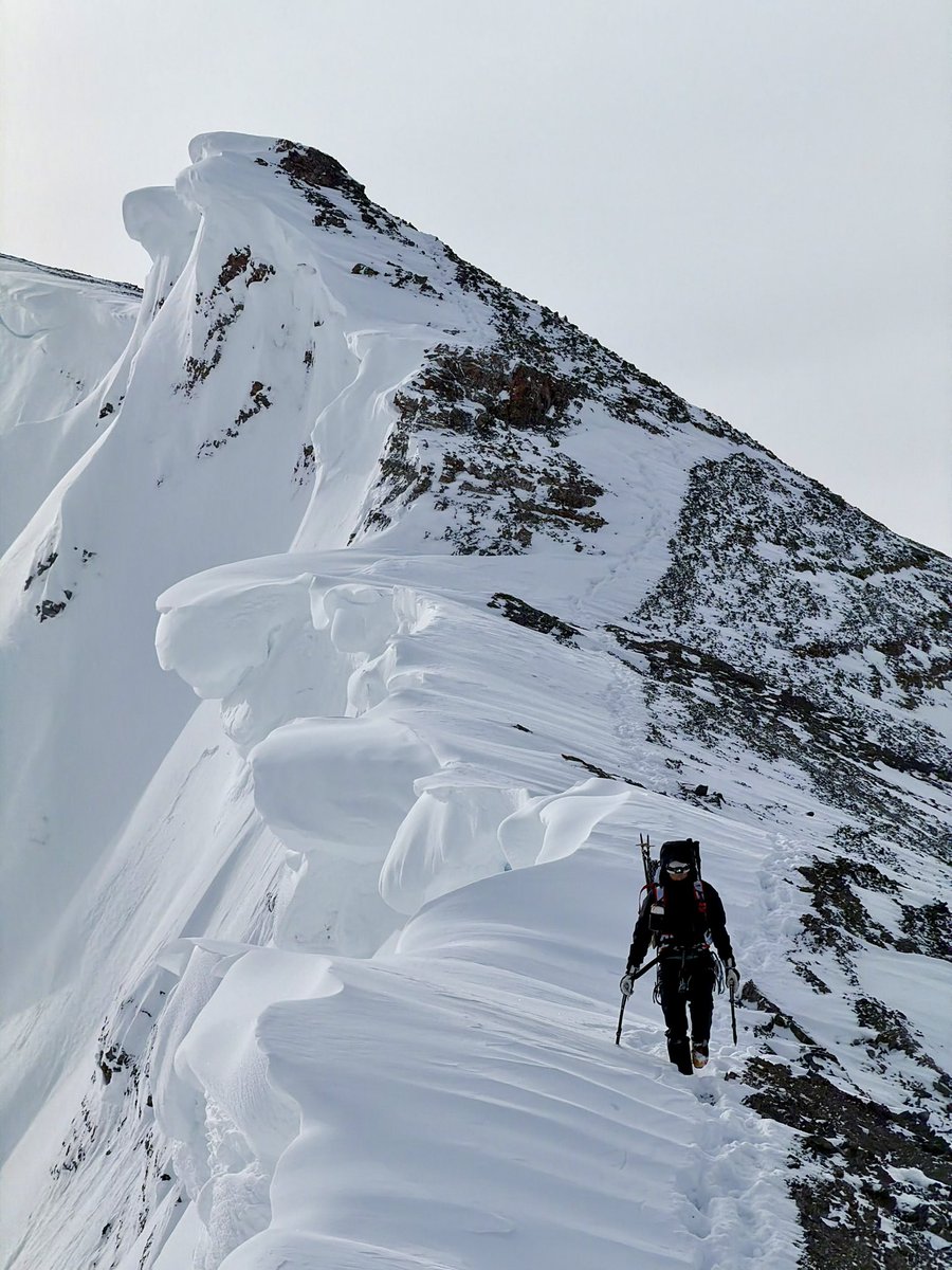 CATH Simard tweet media