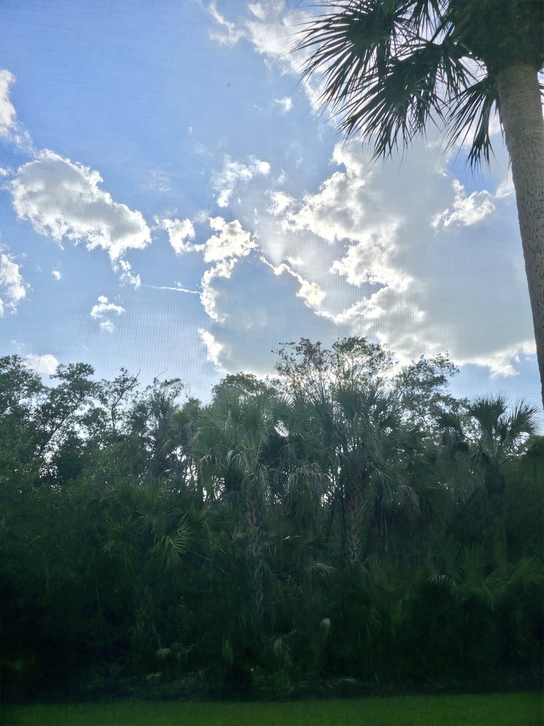 Tracy Shuchart (𝒞𝒽𝒾 ) tweet media