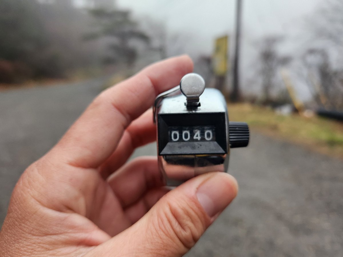 魚釣りの初見さん🎣 tweet media