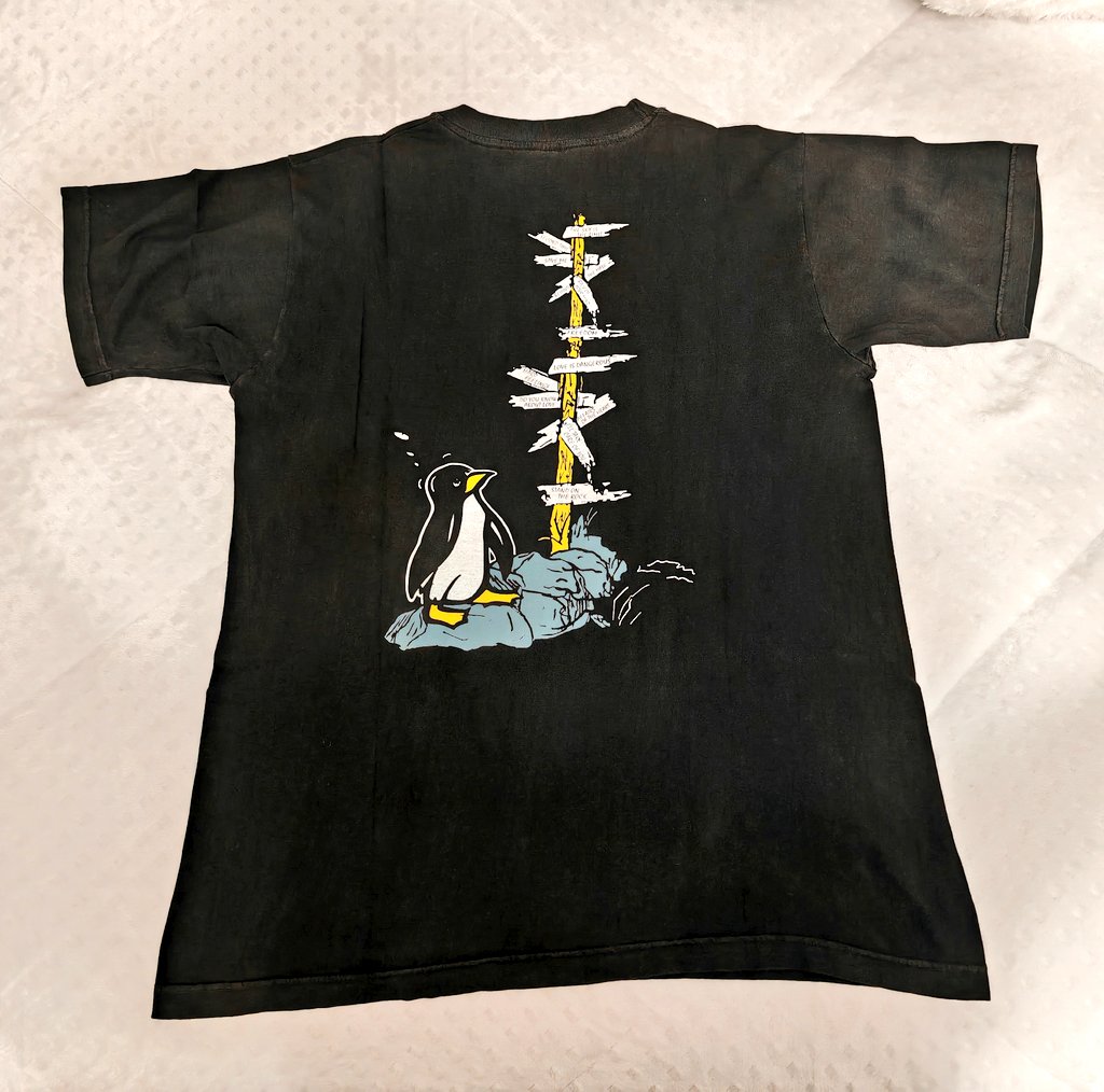 🕊️ Sara 🌛 tweet media