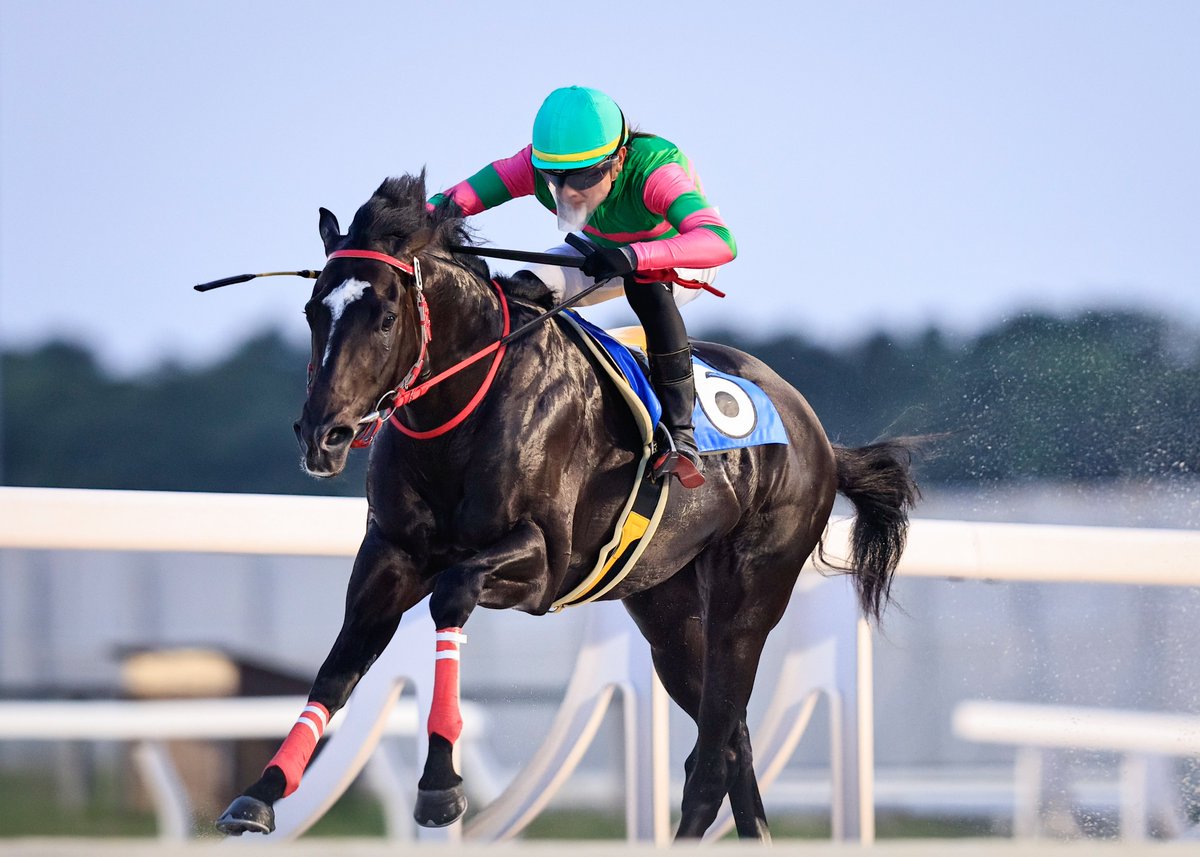 @๐๐ท๐ช๐ซ๐ต๐ฎ๐ tweet media