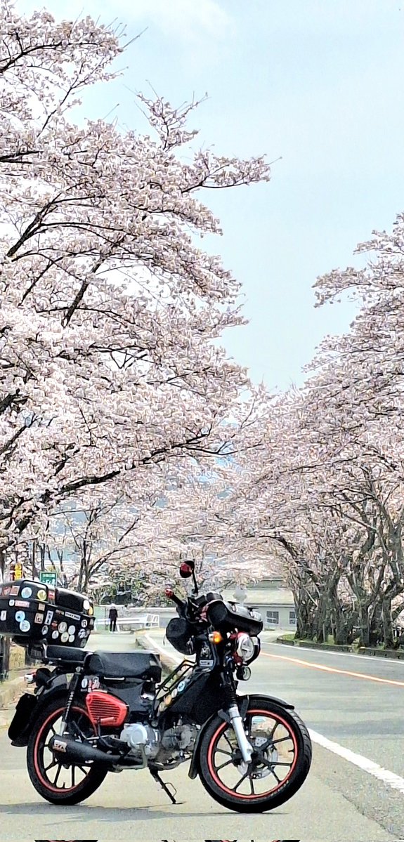 Kazu-sun@rider52 tweet media