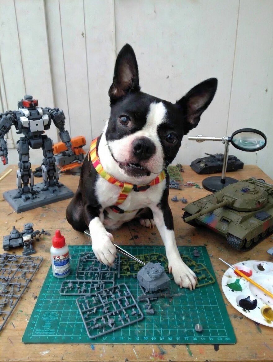 Q thee犬飼 tweet media