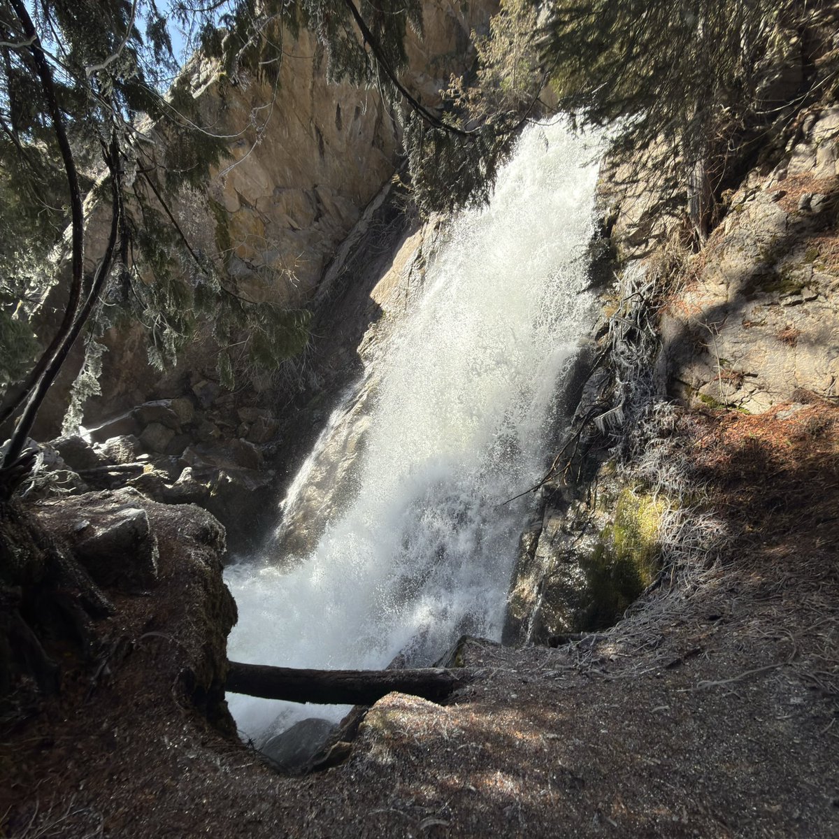 Baroque Age Pervert tweet media