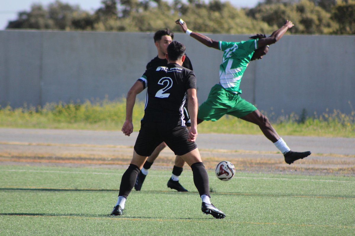 🚨 Farolillo Rojo 📹 tweet media