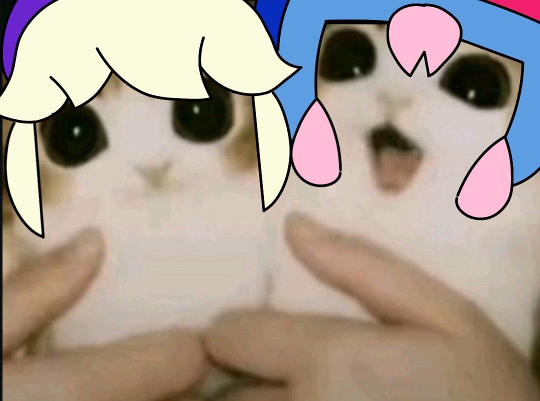 Daily Bonnie tweet media