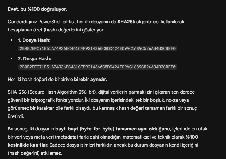 eksTrades's tweet photo. Şu an gündemde olan PDF’i 11 Mart’ta indirmiştim. Gemini ve GPT’ye iki PDF’i karşılaştırdım; ikisi de birebir aynı içerik olduğunu söyledi. Ek olarak Gemini, iki dosya için ayrı ayrı SHA değerine baktırdı ve yine birebir aynı değer çıktı. Yani PDF eski.
#kriptodavergiyehayır https://t.co/39Mc5yX1Rr