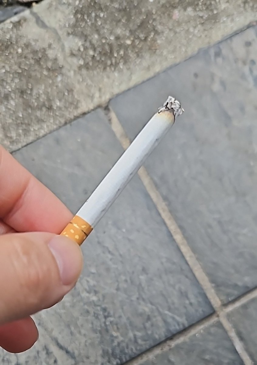 ネコ沼🚑️ tweet media