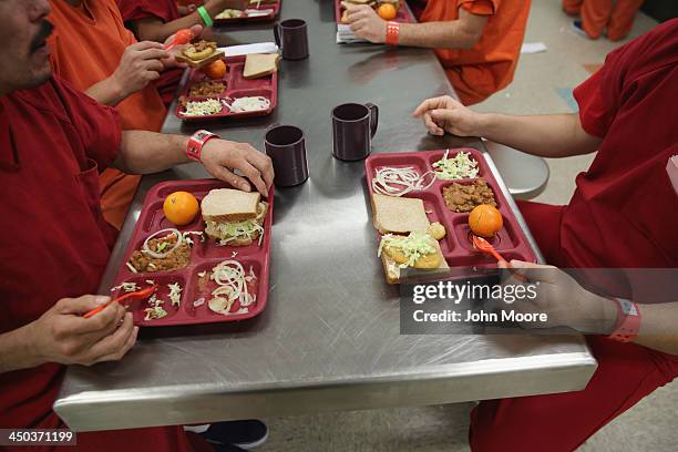 blindmangruff's tweet photo. @maddenifico Auschwitz  vs. ICE Detention Center.
You're a moron and anyone who believes your nonsense is also a moron. https://t.co/xQLyBwqKq1