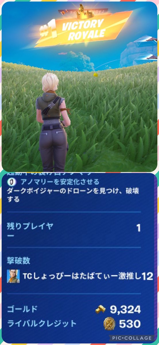 ヤギのしょっぴー🐐 tweet media