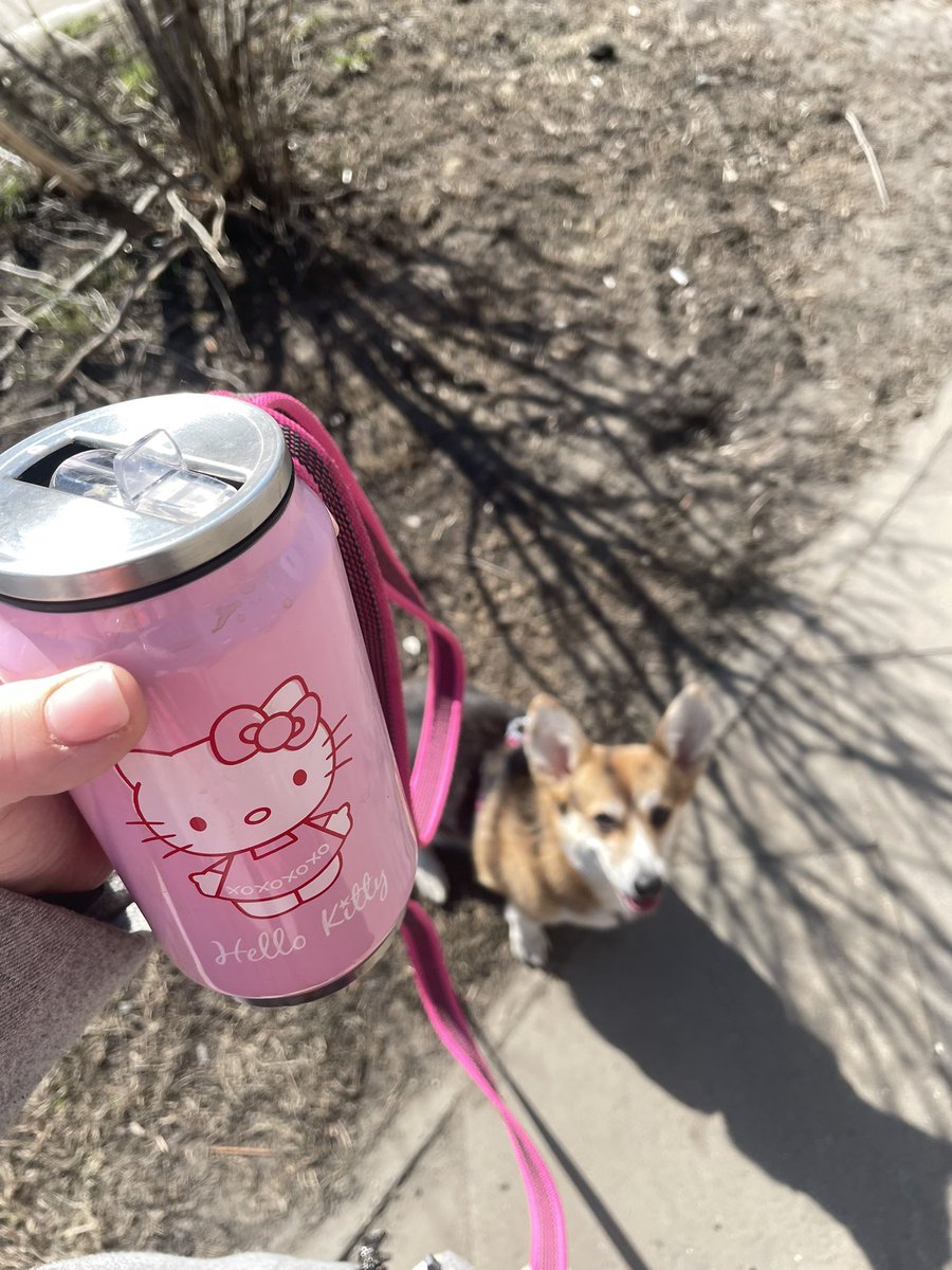 *ля романовна tweet media