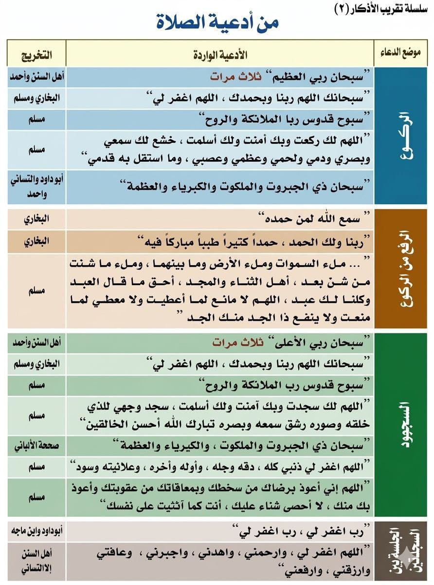 طويلب علم tweet media