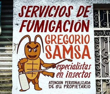 Hernán Efe tweet media