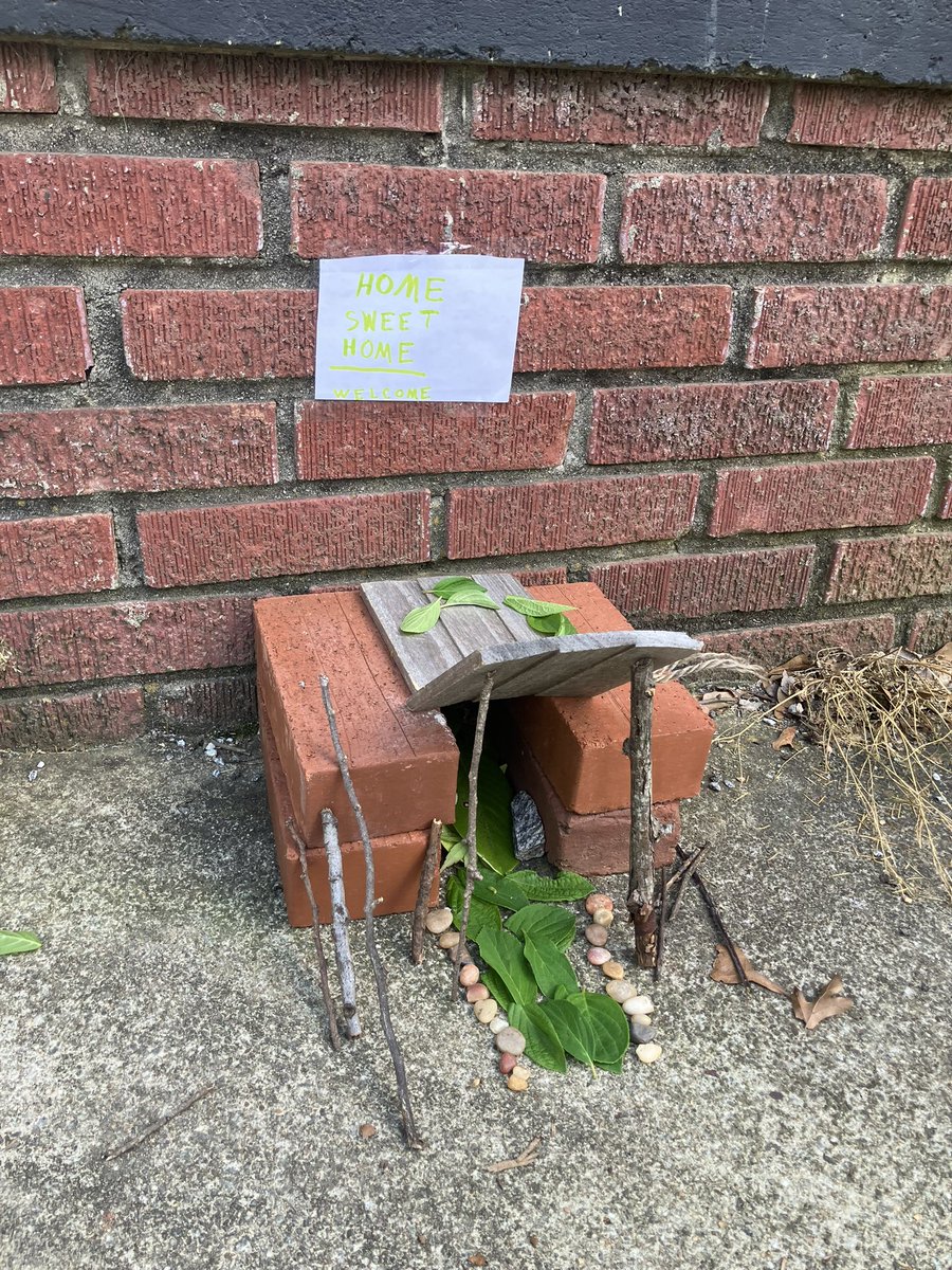 Julia Gulia tweet media