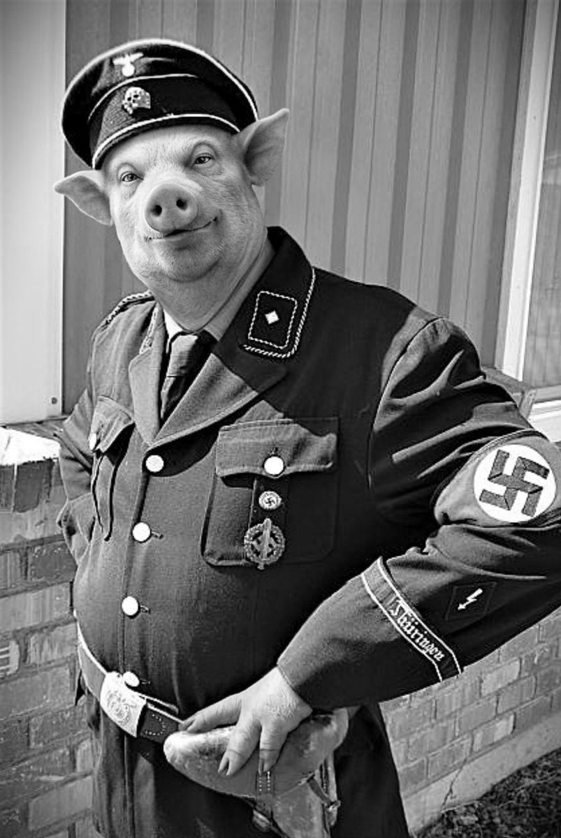 🇳🇬 Zamint Onišẹ 🇳🇬 tweet media